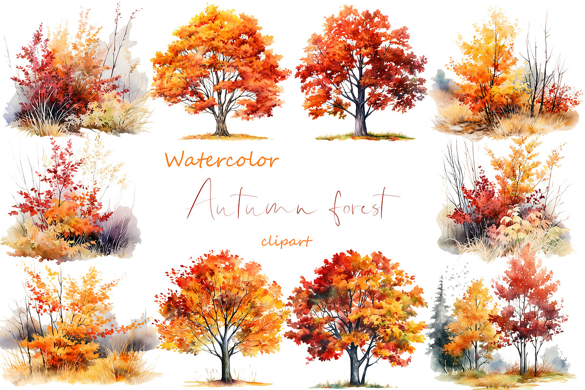 Watercolor digital tree clipart png, an Object Graphic by KomtsyanTatyanaArt (Photo 1 of 7)