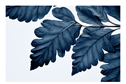 Cyle Collection · Blue Tone Leaves, a Background Graphic by milatovar (Thumbnail 19 of 32)