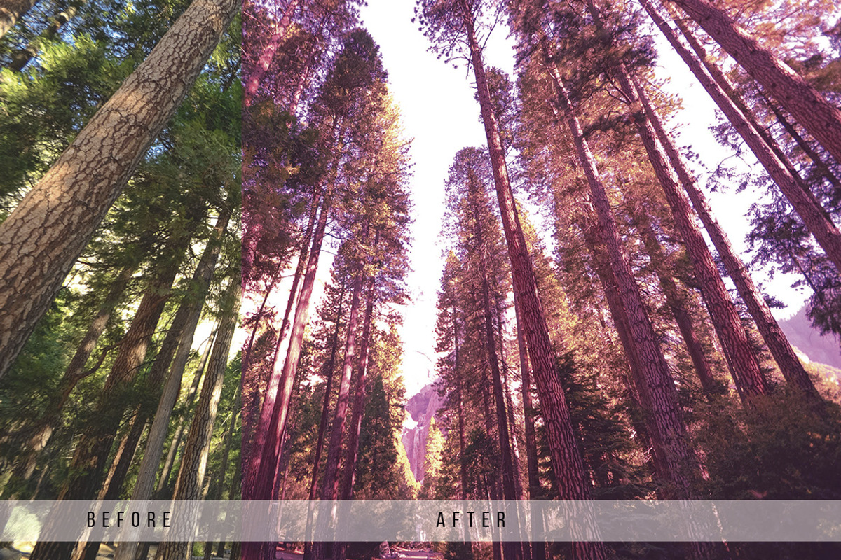 Forest Tone Lightroom Presets preview 4