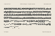 Blacker Shield - Retro Modern Serif, a Serif Font by Variatype (Thumbnail 7 of 7)