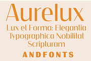 Aurelux: Modern Elegant Font, a Sans Serif Font by Andfonts (Thumbnail 1 of 9)