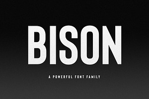 Bison - A Powerful Sans Serif