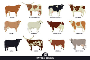 Cattle breeds
