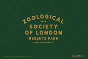 Trains to London, a Sans Serif Font by Komet & Flicker (Thumbnail 5 of 12)