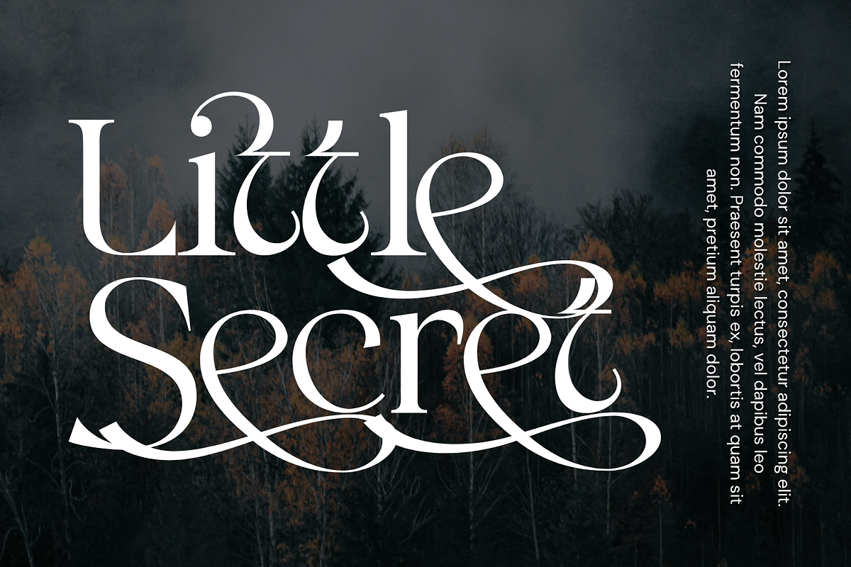 Rococo Aesthetic - Elegant Font, a Script Font by 177Studio (Photo 6 of 8)