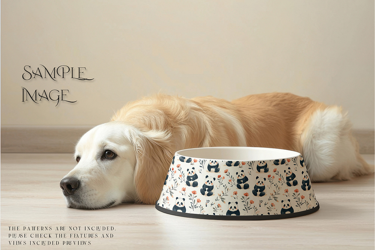 Pet Bowls PNG & PSD Mockups, a Product Mockup by mock-ups (Photo 6 of 14)