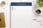 Modern Executive Resume Template, a Resume Template by BestResumes.Co (Thumbnail 9 of 9)