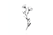 Prompt Botanical Line Art Flower, a Decorative Illustration by Creative design (Thumbnail 4 of 7)