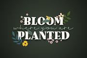 Garden Walk Font Duo, a Serif Font by Denise Chandler (Thumbnail 4 of 7)