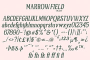 Marrowfield, a Serif Font by deadlock studio (Thumbnail 8 of 9)