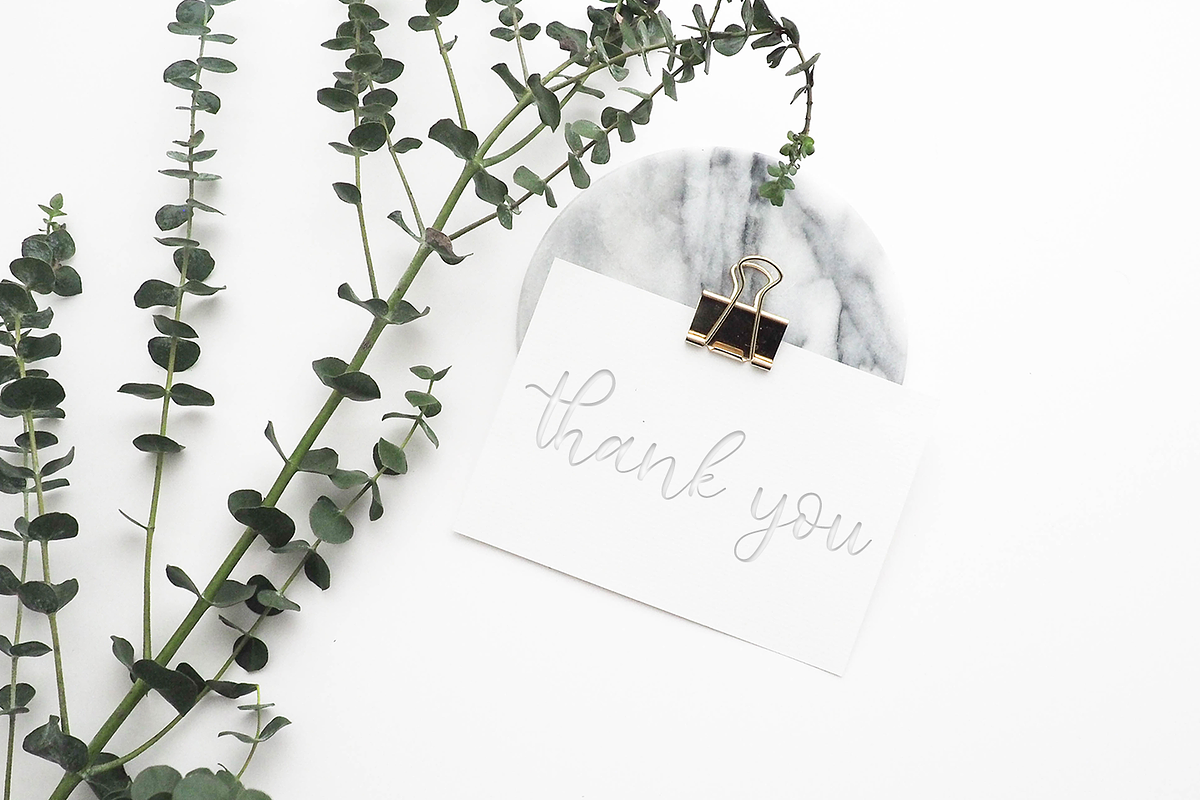 Margerlliny-Modern calligraphy font, a Script Font by Quothron (Photo 6 of 6)