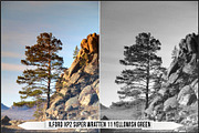 Ilford Films LUTs, a Plug-in Add-On by Raztrend (Thumbnail 19 of 30)