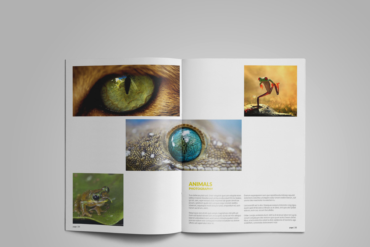 Photographer/Designer Portfolio, a Brochure Template by vanroem2nd (Photo 17 of 21)