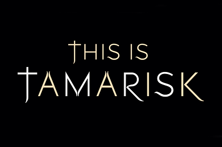 Tamarisk. Stunning serif/sans font