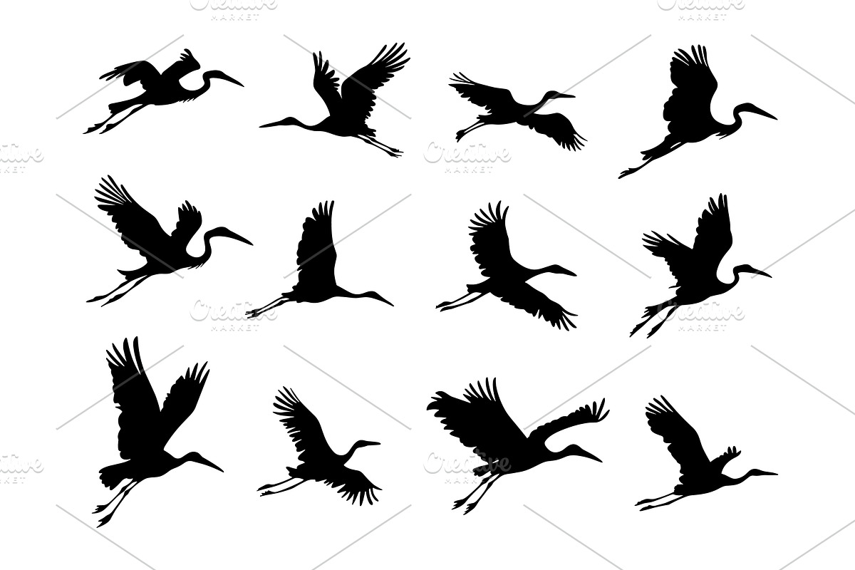 Storks flying different silhouettes, an Animal Illustration by Valerie Bodnar