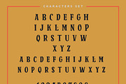 Sparkplugs Biker Rebel Font, a Serif Font by Ian Irwanwismoyo (Thumbnail 7 of 8)
