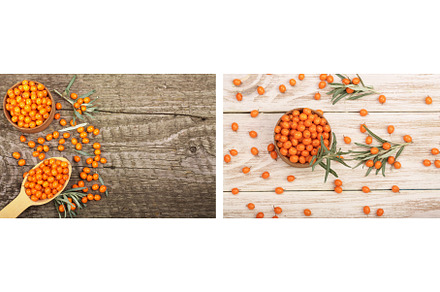 Sea buckthorn. Ripe fresh berries in, a Food & Drink Photo by NataPhoto