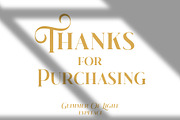 Glimmer Of Light, a Serif Font by INKSUN™ (Thumbnail 9 of 9)