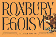Roxbury Egoism All Caps Serif, a Serif Font by timelesstype.co (Thumbnail 1 of 20)