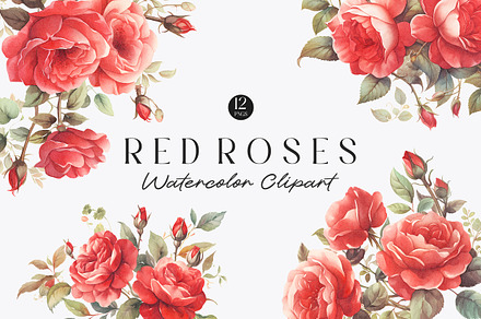 Watercolor Red Roses Clipart, a Decorative Illustration by Primrose Blume