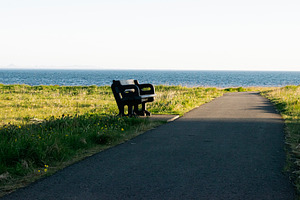 Scenic coastal path with bench facing ocean in Akranes, Iceland on sunny day, a Photo by AS photostudio