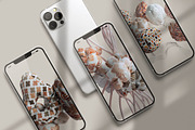 3d BIG bundle video & image, a Graphic by Mio Buono (Thumbnail 44 of 60)