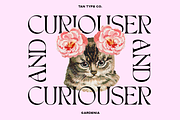 TAN - GARDENIA, a Font by TanType (Thumbnail 2 of 21)