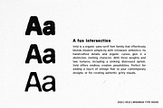 Veld Font Family, a Sans Serif Font by Migomojo Type House (Thumbnail 4 of 12)
