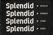 Glofters Blackletter Display Font, a Blackletter Font by Martype Co (Thumbnail 2 of 11)