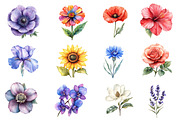 Watercolor Flowers Clipart, Spring, an Illustration by Dream Creation (Thumbnail 3 of 7)