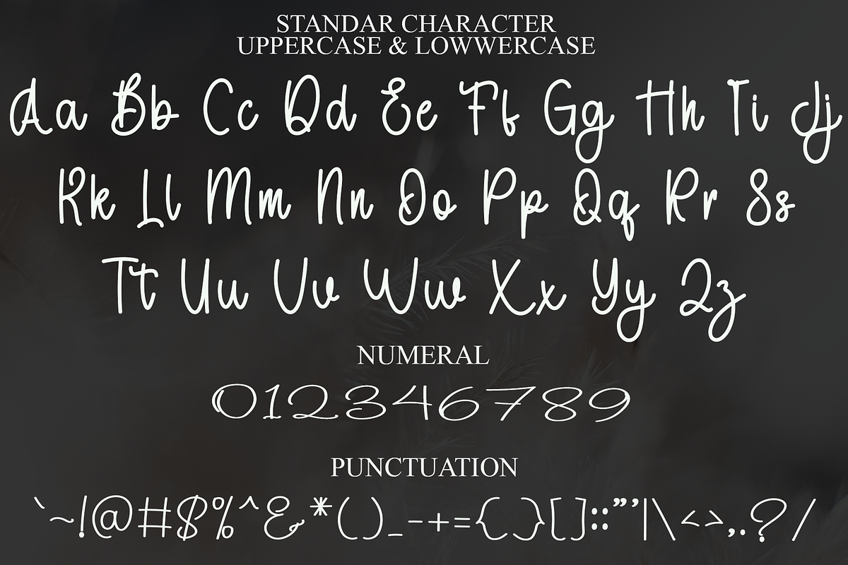 Budget, a Handwritten Font by InermediaSTUDIO (Photo 4 of 7)
