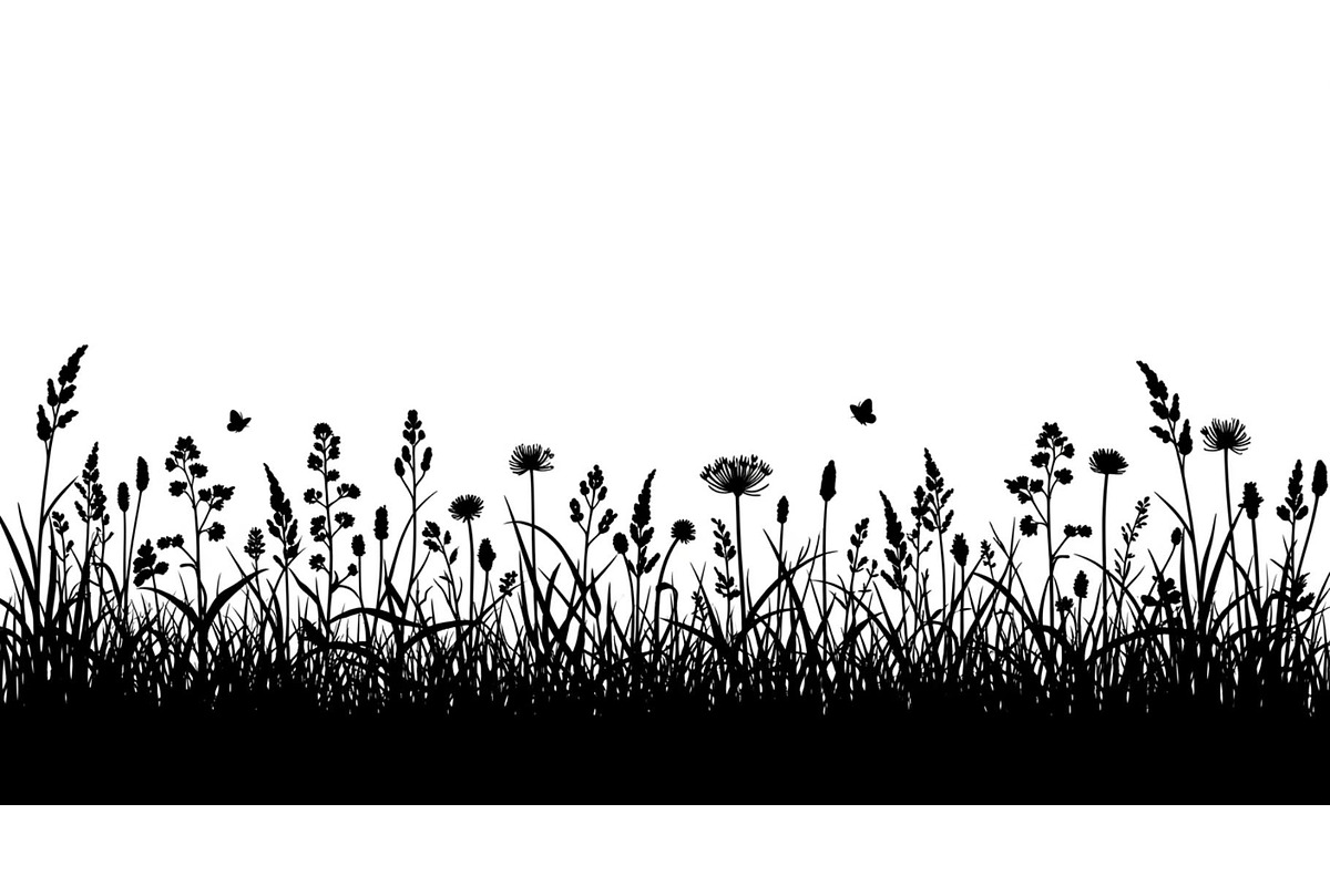 Floral Grass Border Silhouette Bundl, an Illustration by Amazin_art (Photo 3 of 51)
