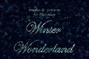 Winter Wonderland for Photoshop, a Brush Add-On by ArtPlanet (Thumbnail 1 of 20)