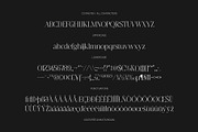 CS Rasten– Modern Serif Font, a Serif Font by Craft Supply Co. (Thumbnail 8 of 8)