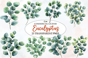 Watercolor Eucalyptus Clipart, an Illustration by Designworld (Thumbnail 1 of 6)