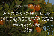 Tangerine, Outlined Font, a Font by WeGraphics (Thumbnail 2 of 3)