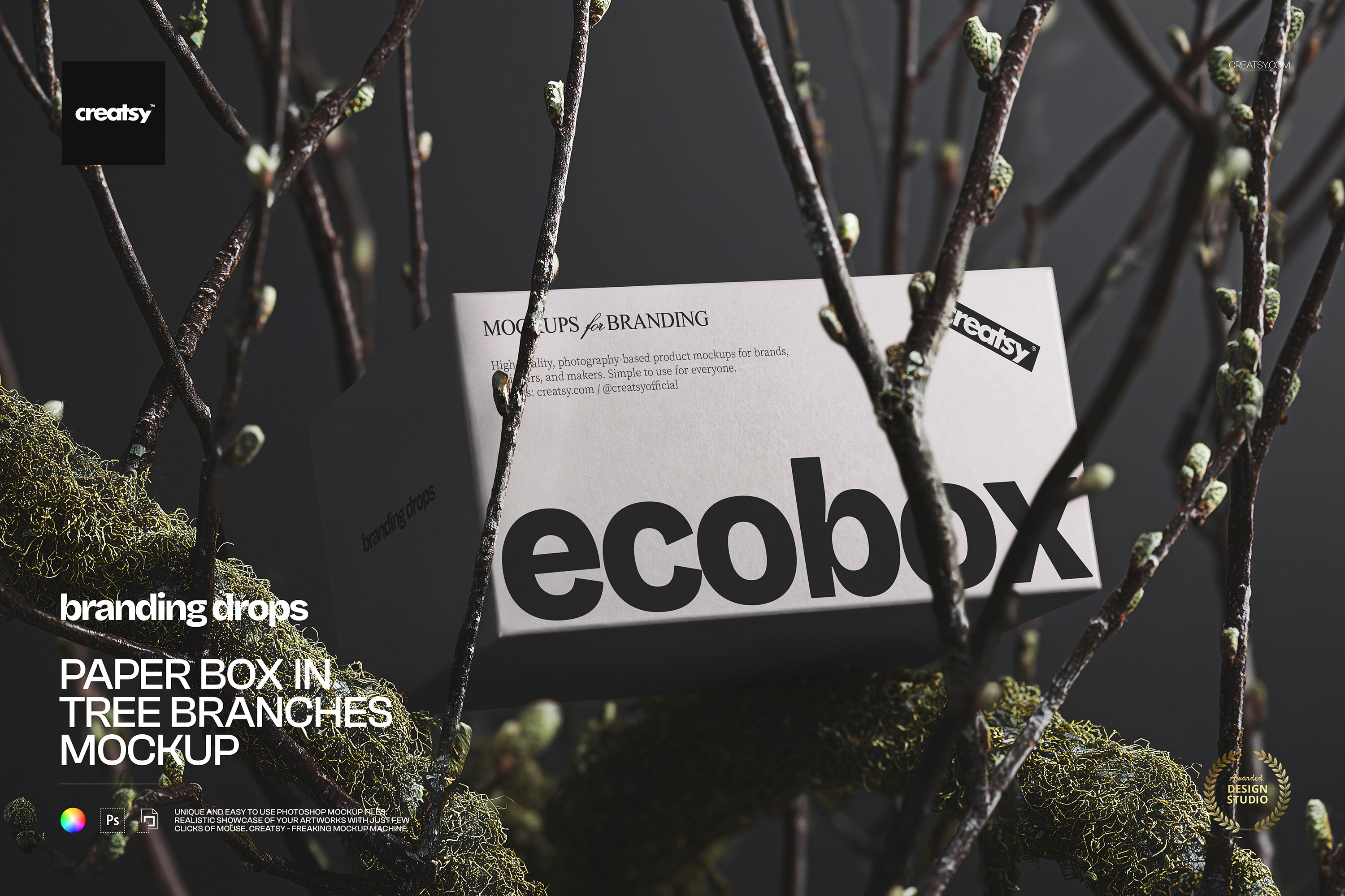 Paper Box in Tree Branches Mockup, a Packaging Mockup by creatsy5
