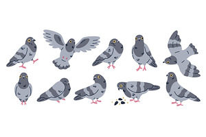 Cartoon comic dove character. Funny, an Animal Illustration by YummyBuum