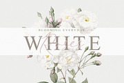 Wistania - Modern Calligraphy, a Script Font by Koplexs Studio (Thumbnail 11 of 12)