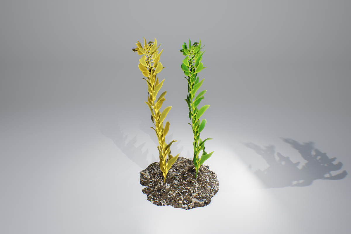 Kelp V2, an Environmental 3D Model by AndrewWhite (Photo 11 of 12)