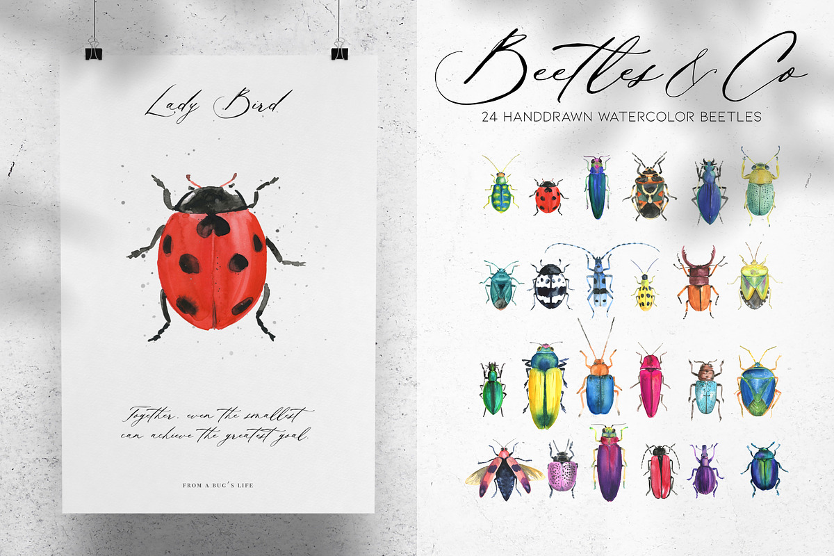 Watercolor Beetles&Co, an Animal Illustration by beehouse studio (Photo 1 of 6)
