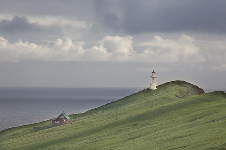 Faroe islands, a Nature Photo by Ivanna