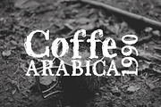 MORELIA, a Script Font by edcreative (Thumbnail 3 of 6)