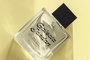 Phalarope | Reverse Contrast Script, a Script Font by Jolicia Type (Thumbnail 6 of 10)