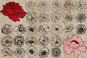 Flower heads stamps for Procreate, a Brush Add-On by TheWhiteCatLab (Thumbnail 3 of 7)