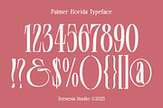 Palmer Florida, a Serif Font by zeenesia (Thumbnail 18 of 18)