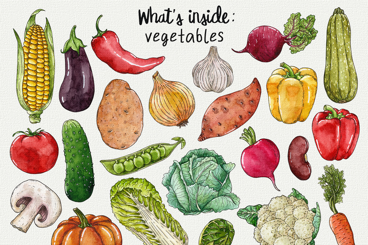 Veggies & greens watercolor clipart, an Object Graphic by Trinibis (Photo 2 of 4)