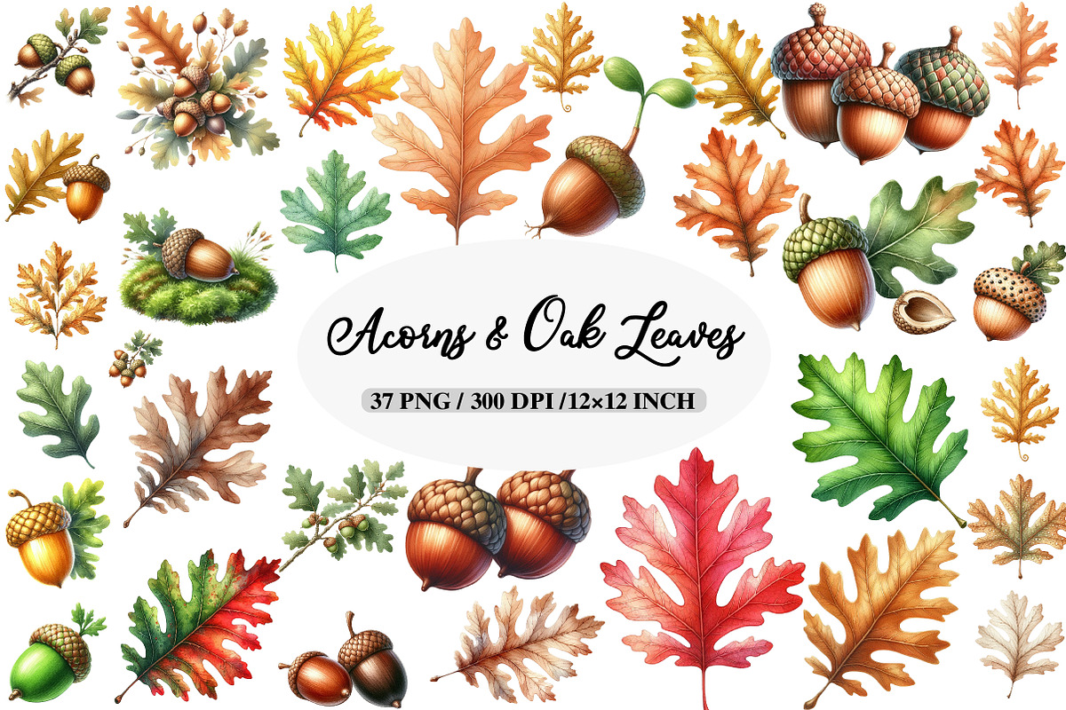 Acorns & Oak Leaves Clipart, an Illustration by Daily.Designs (Photo 1 of 5)