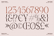 GC Asthera – Modern Display Serif, a Serif Font by Glyphonic (Thumbnail 14 of 15)