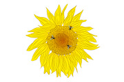 Bee and Sunflower Set., a Decorative Illustration by Svetlana Avv (Thumbnail 4 of 4)